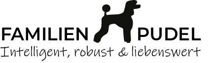 Familienpudel Private Hundezucht